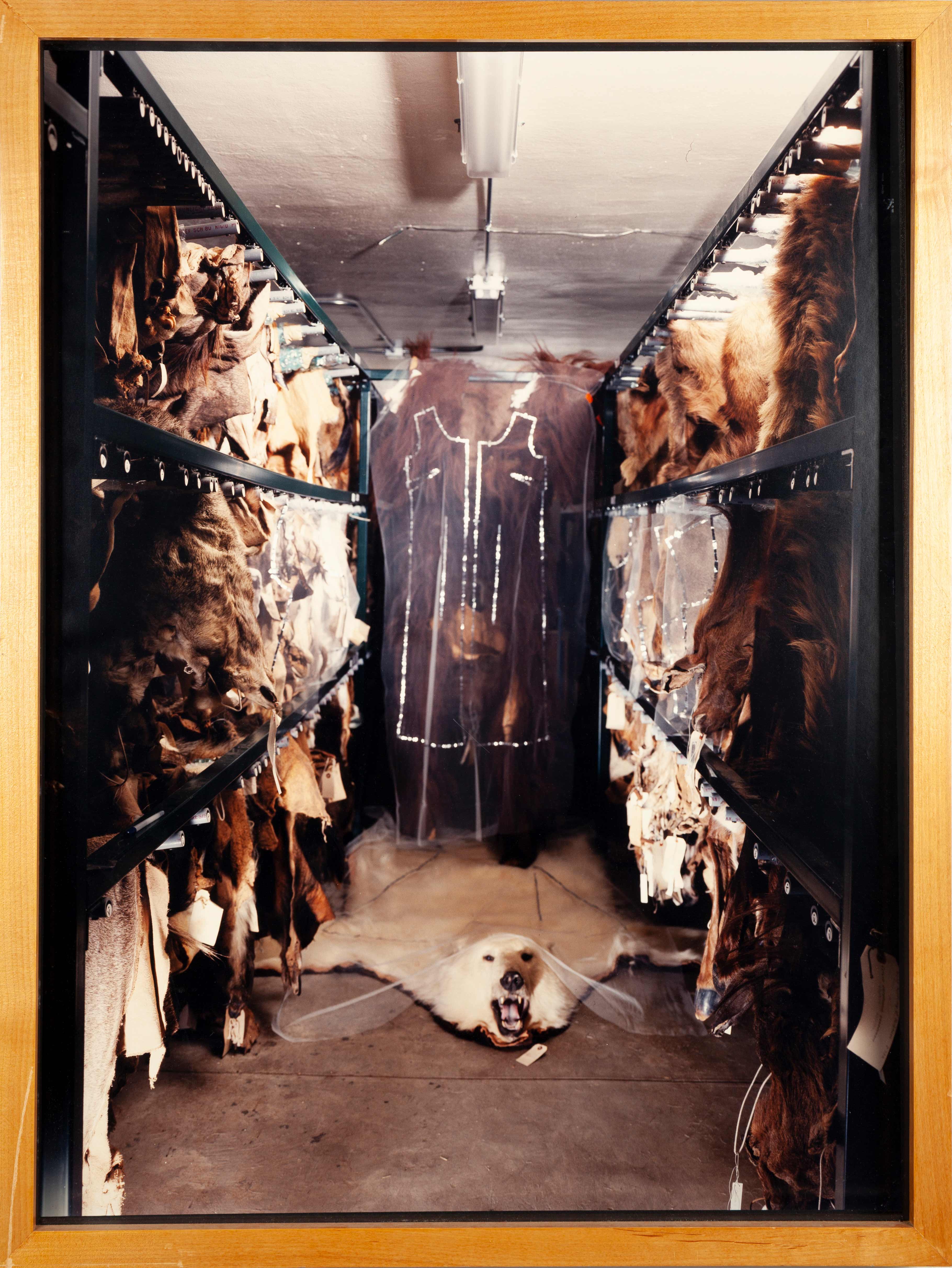 Lisa R. Gould - WINTER COLLECTION/THE ACADEMY OF SCIENCE Photograph of a room with animal pelts.